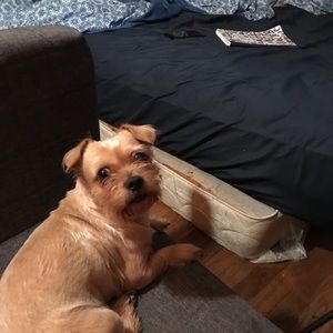 Meet your Posher, Jesse